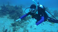 สำรวจส่วนลึกของการผจญภัย: การดำน้ำรอบ Phuket
