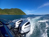  Koh Haa (8h) | Animo