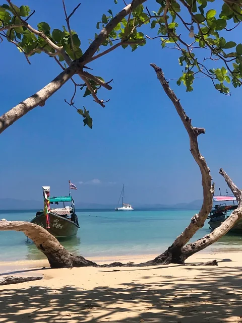  Phi Phi Islands (2 days / 1 night) | Moonlight