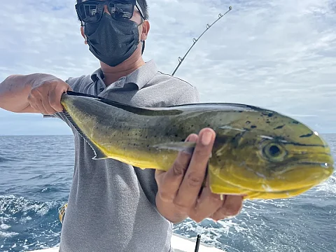  Krabi Island Hopping (8h) | Catcher