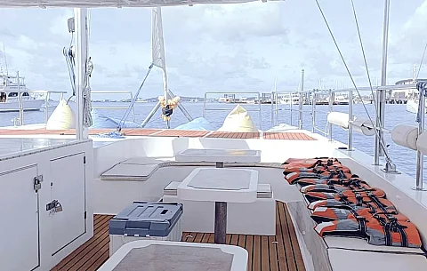  Coral Island (5h) | Monchichi