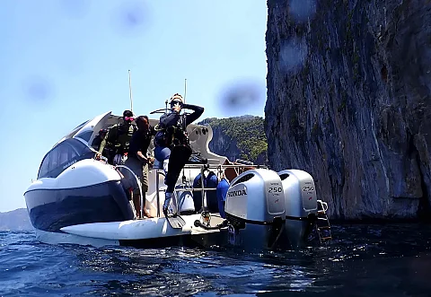  Phang Nga Bay & James Bond Island (8h) | Animo