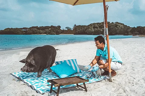  Koh Madsum (Pig Island) (afternoon 4h) | Emerald